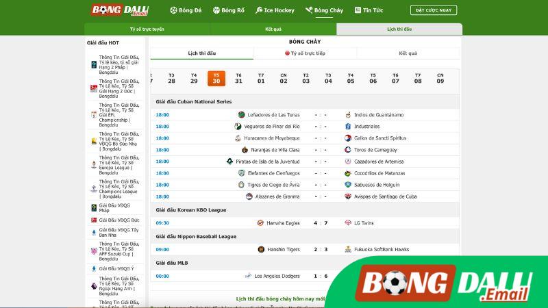Giới Thiệu Về Lịch Thi Đấu Bóng Chày